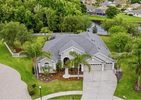 26641 Winged Elm Drive Wesley Chapel FL 33544
