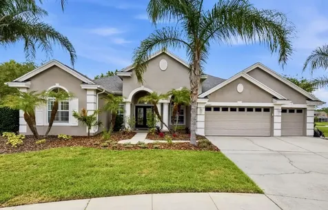 26641 Winged Elm Drive Wesley Chapel FL 33544