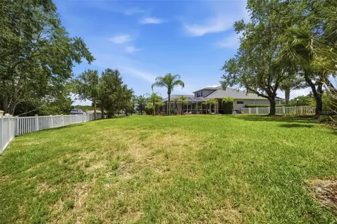 26641 Winged Elm Drive Wesley Chapel FL 33544