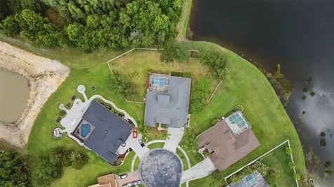 26641 Winged Elm Drive Wesley Chapel FL 33544