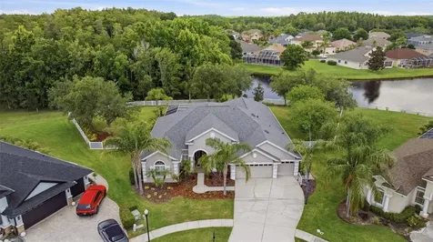 26641 Winged Elm Drive Wesley Chapel FL 33544