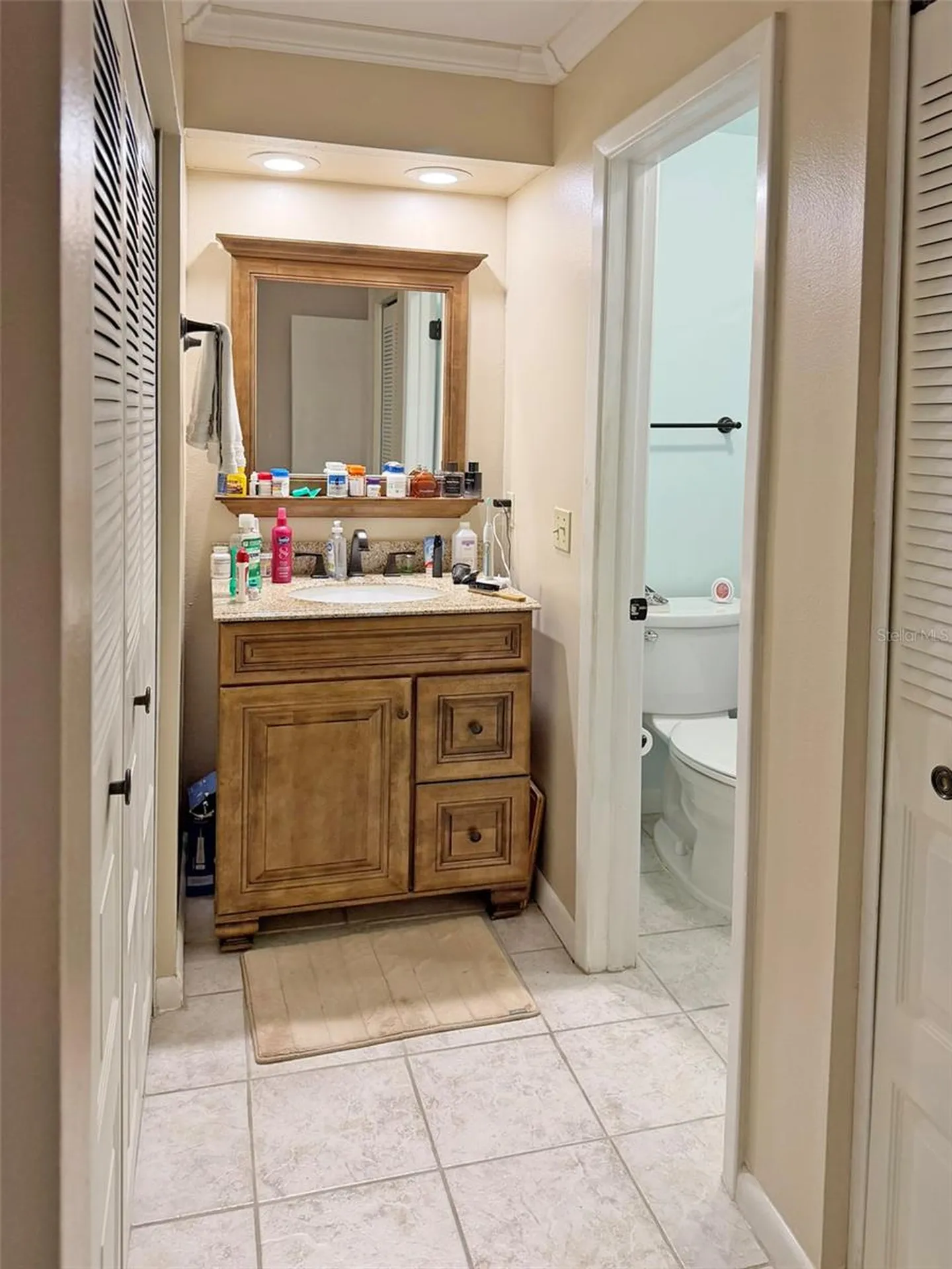 8521 Misty River Court Tampa FL 33637