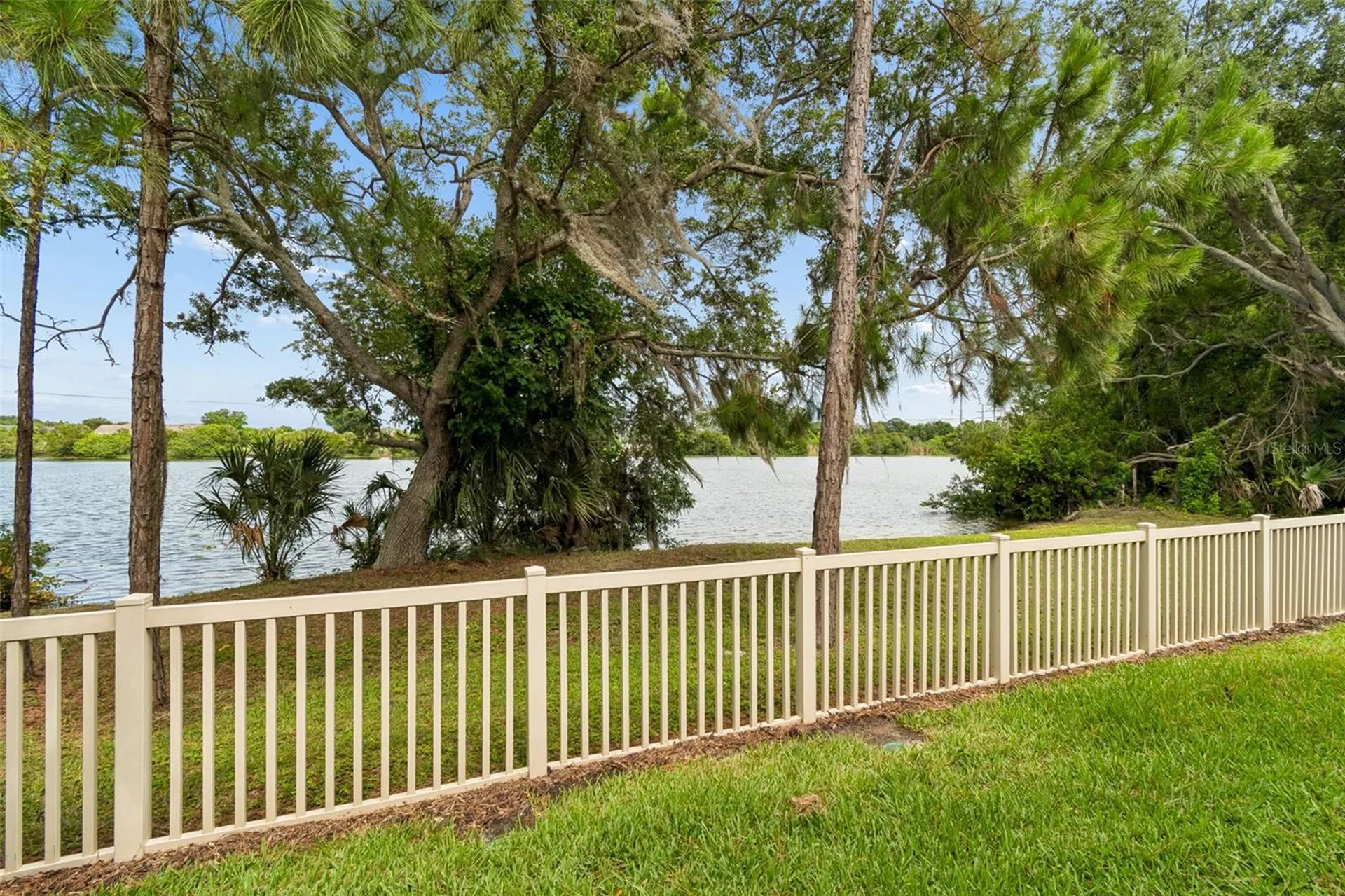 9210 Fox Sparrow Road Tampa FL 33626