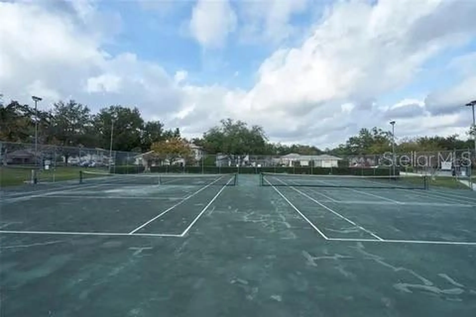 11713 Raintree Drive Tampa FL 33617