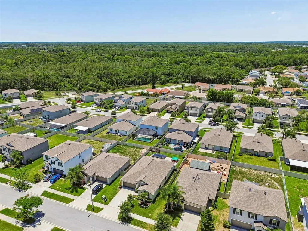 6388 Spider Lily Way New Port Richey FL 34653