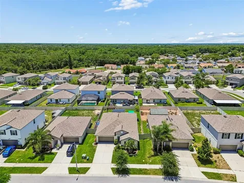 6388 Spider Lily Way New Port Richey FL 34653