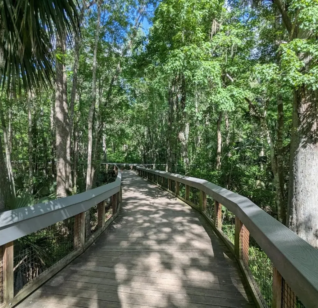 4300 NE 132nd Court Silver Springs FL 34488