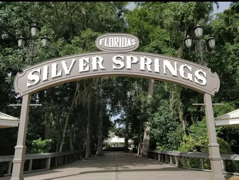 4300 NE 132nd Court Silver Springs FL 34488