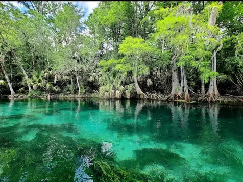 4300 NE 132nd Court Silver Springs FL 34488