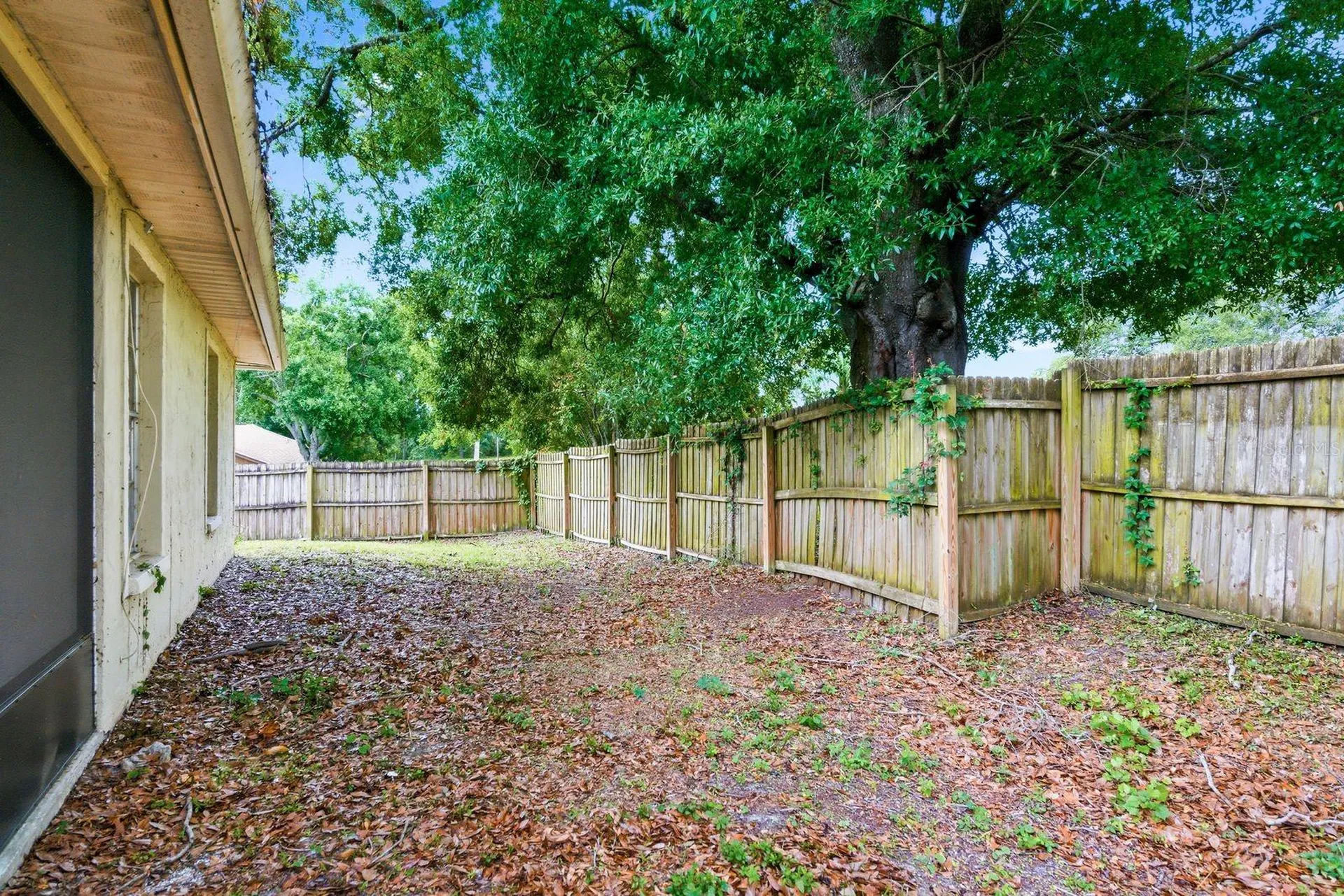 3726 Albion Court Palm Harbor FL 34684
