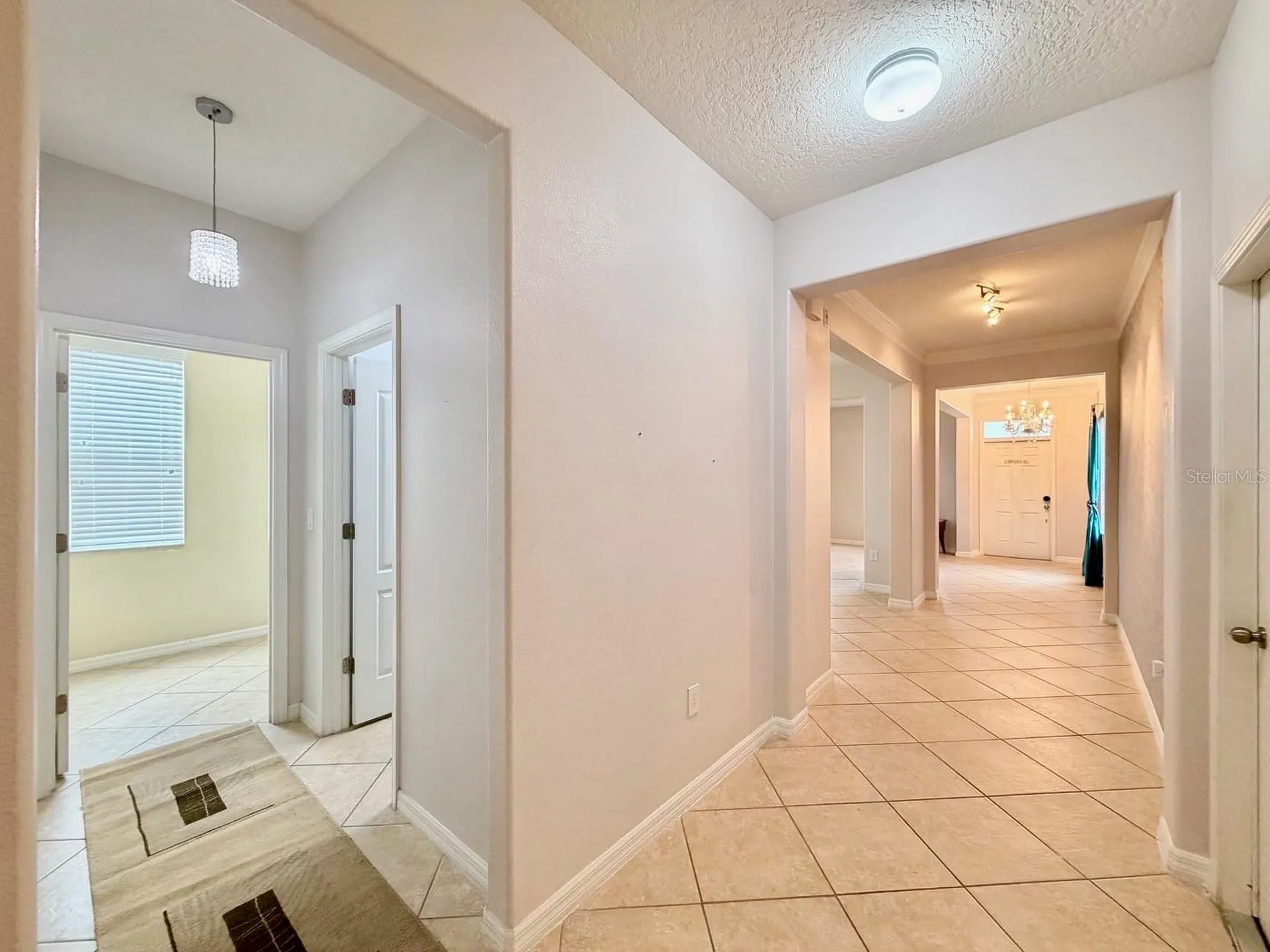 1185 Seburn Road Apopka FL 32703