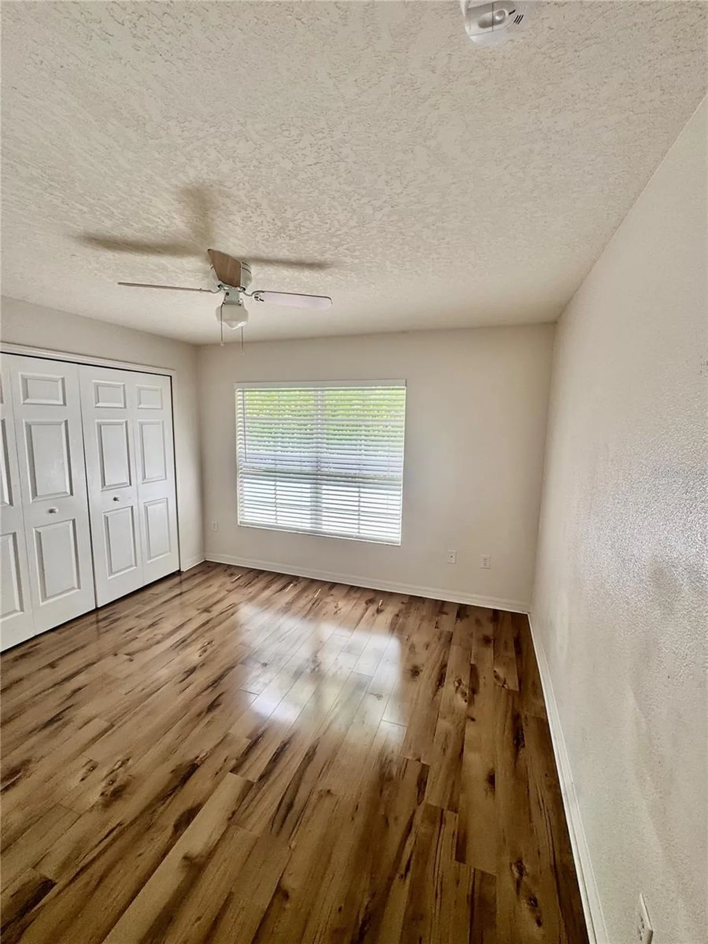 6249 Maisie Road Zephyrhills FL 33542