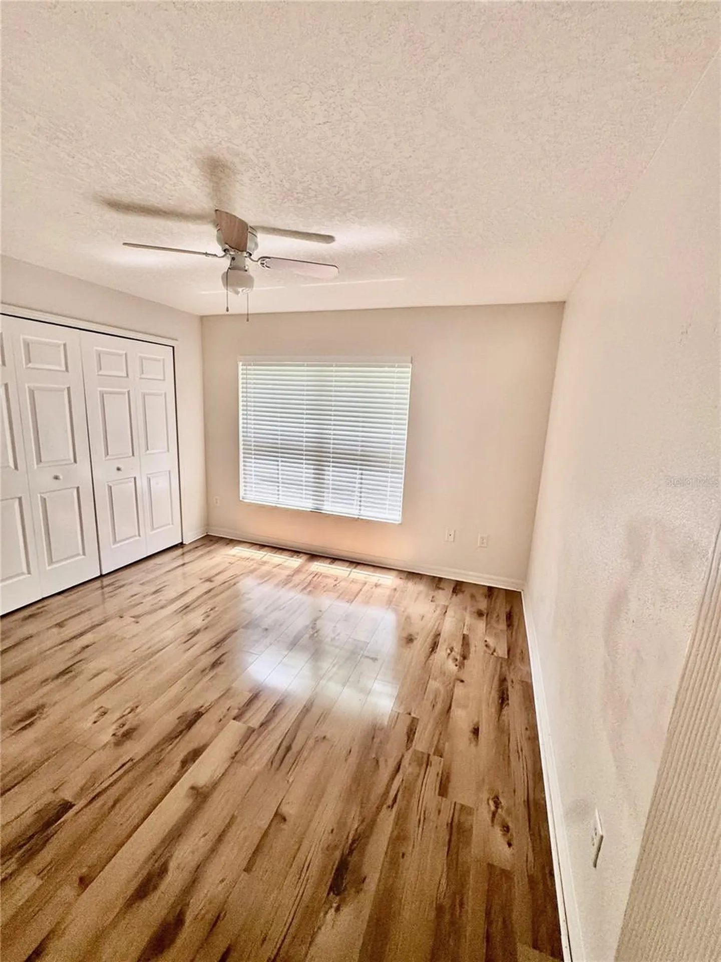 6249 Maisie Road Zephyrhills FL 33542