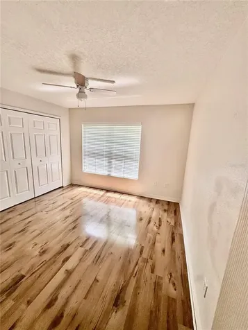 6249 Maisie Road Zephyrhills FL 33542