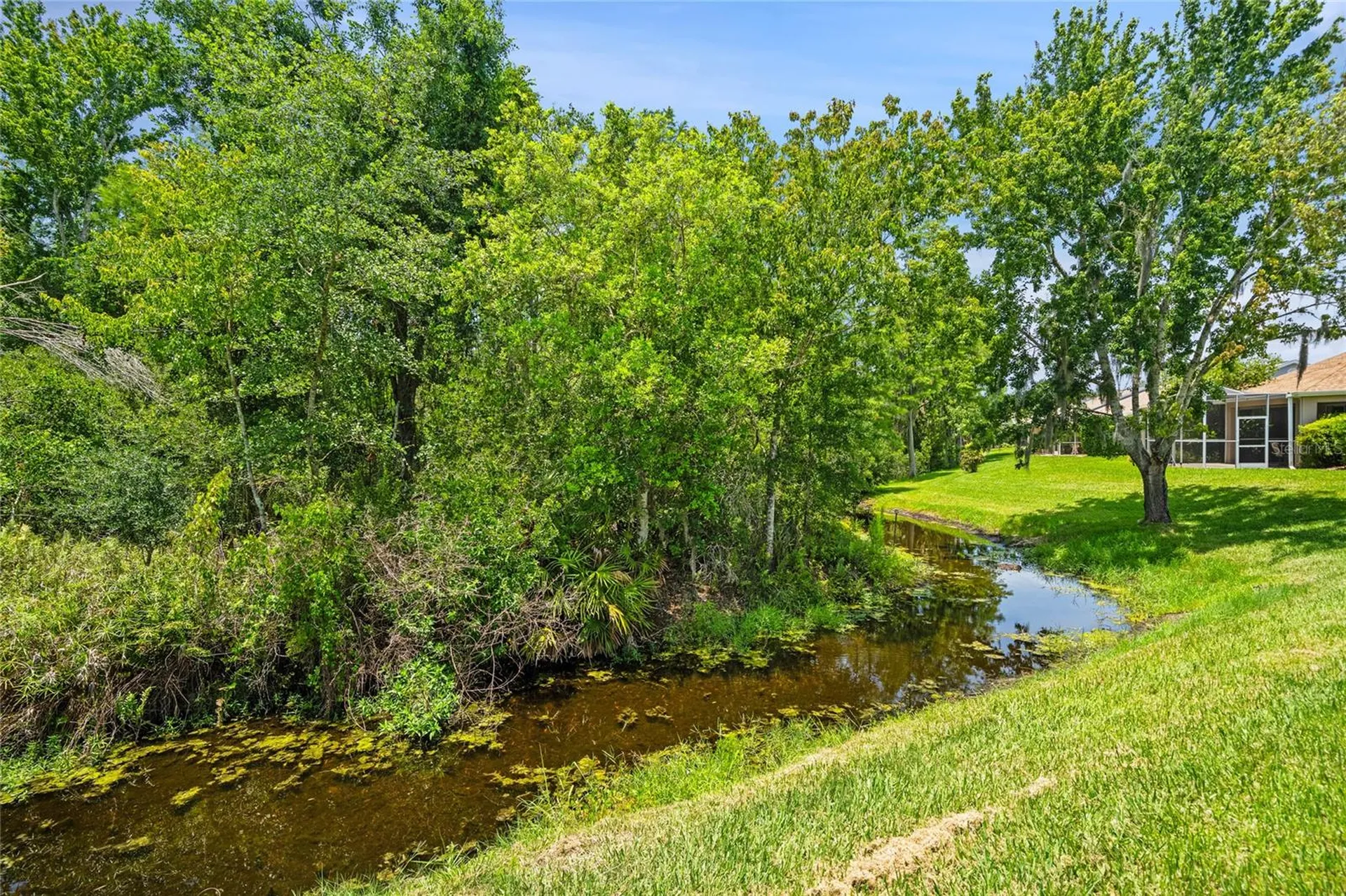 7307 Cleopatra Drive Land O Lakes FL 34637