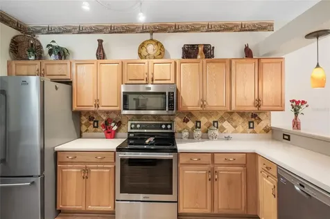 7307 Cleopatra Drive Land O Lakes FL 34637