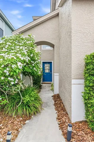 10606 Drayton Court Tampa FL 33626