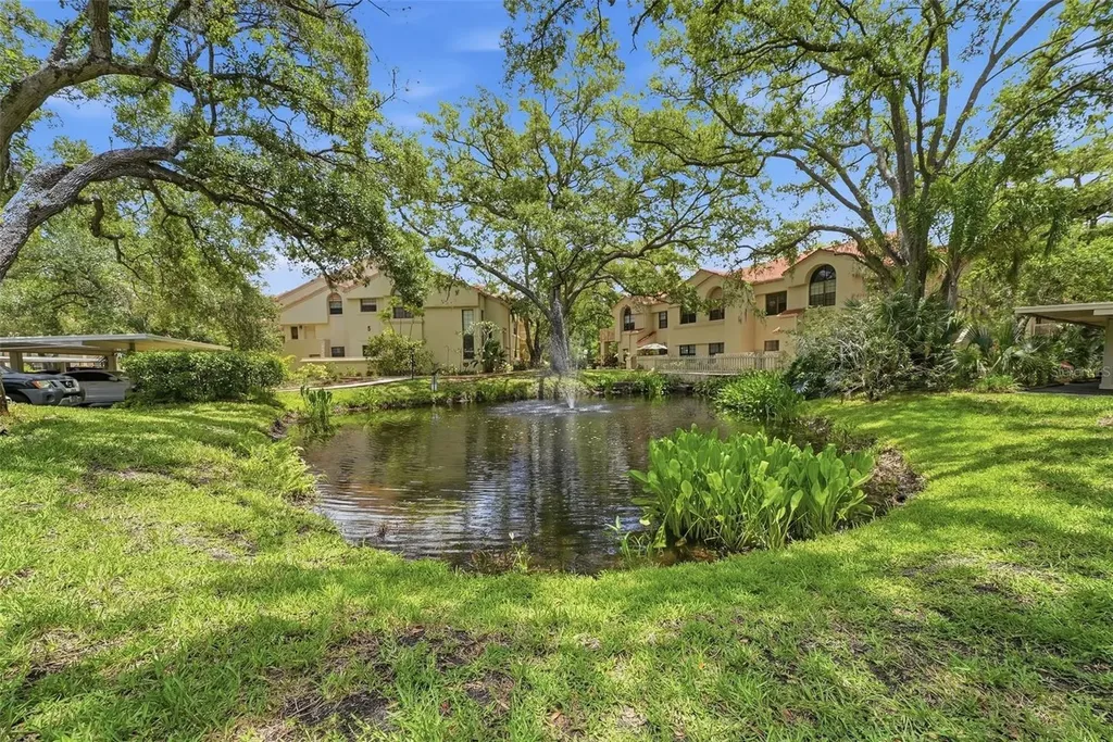 328 Los Prados Drive Safety Harbor FL 34695