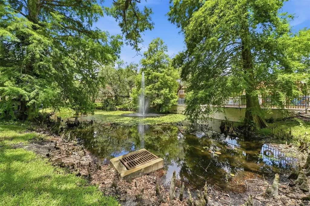 328 Los Prados Drive Safety Harbor FL 34695