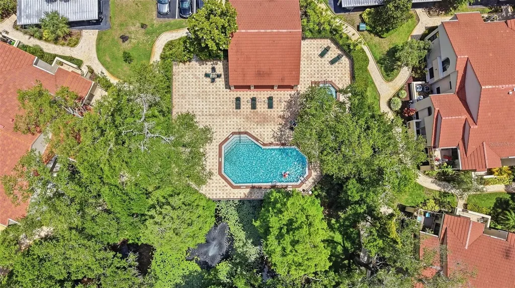 328 Los Prados Drive Safety Harbor FL 34695