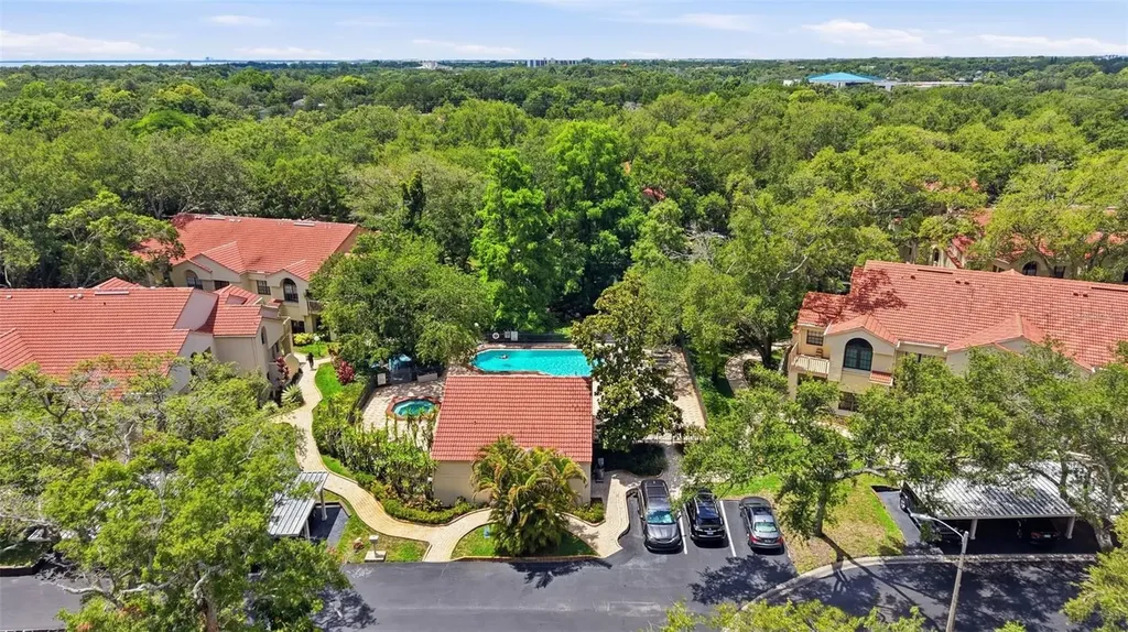 328 Los Prados Drive Safety Harbor FL 34695