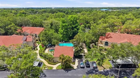 328 Los Prados Drive Safety Harbor FL 34695