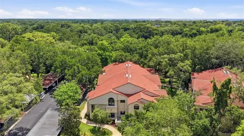 328 Los Prados Drive Safety Harbor FL 34695