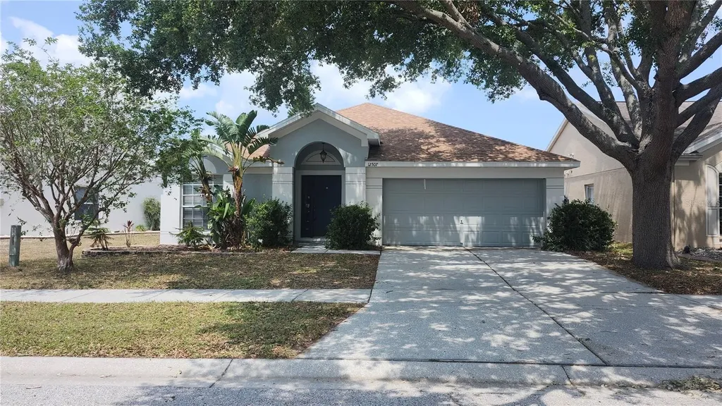 12507 Midpointe Drive Riverview FL 33578