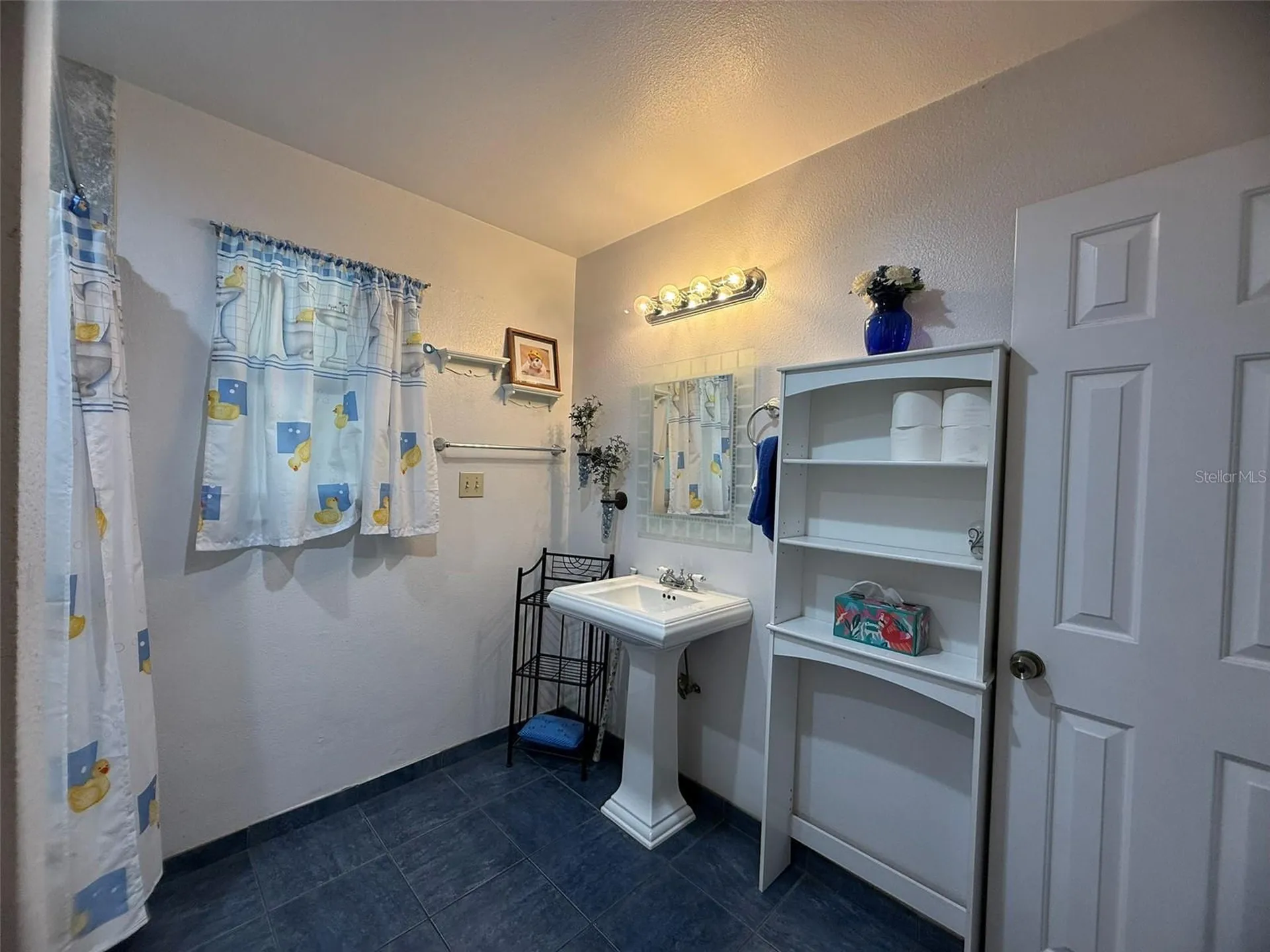 7 Lago Vista Court Davenport FL 33837