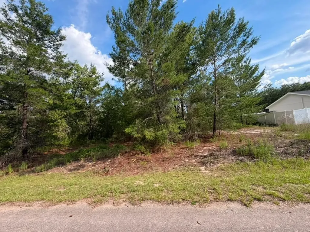 22 Fisher Run Lane Ocklawaha FL 32179