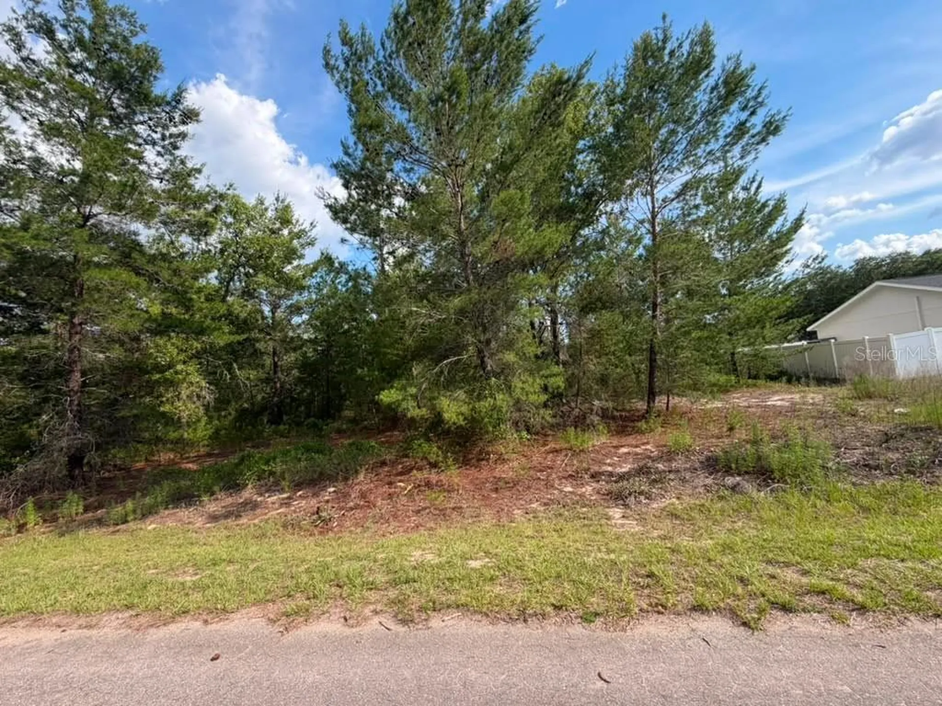 22 Fisher Run Lane Ocklawaha FL 32179