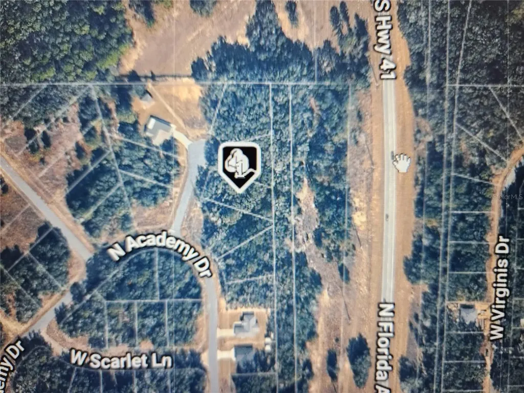 11197 N Denice Point Dunnellon FL 34434
