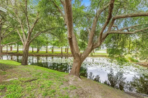 2982 Estancia Place Clearwater FL 33761