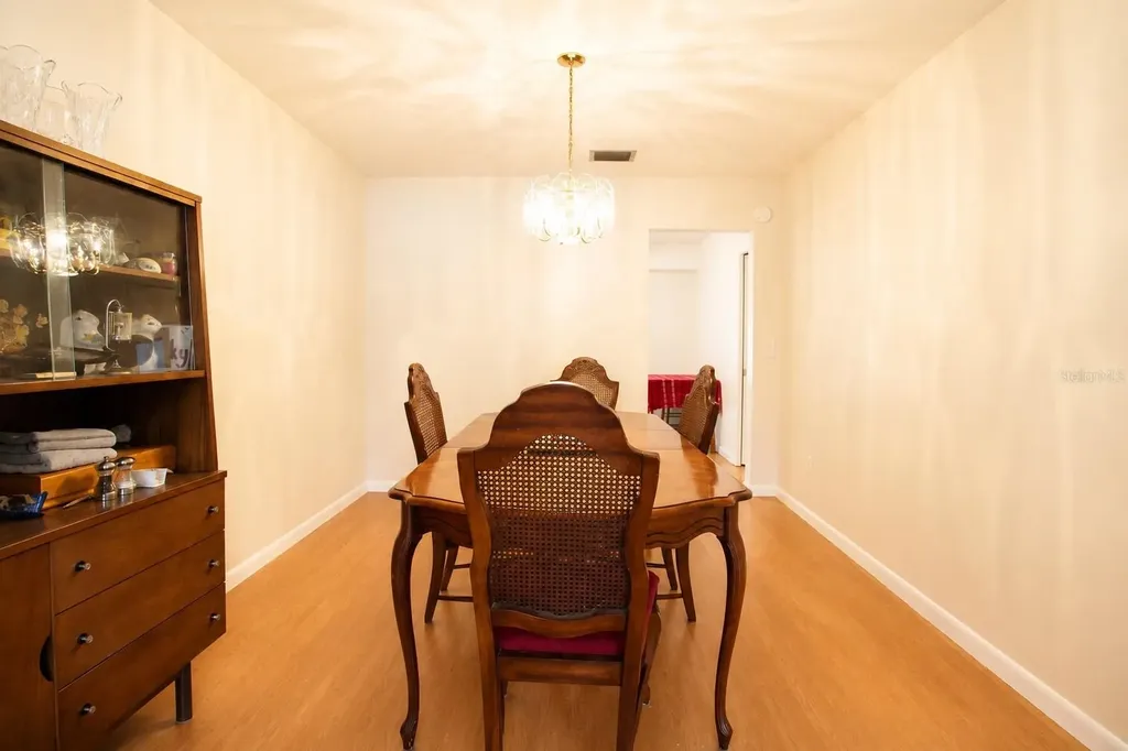11904 Trevino Place Tampa FL 33624