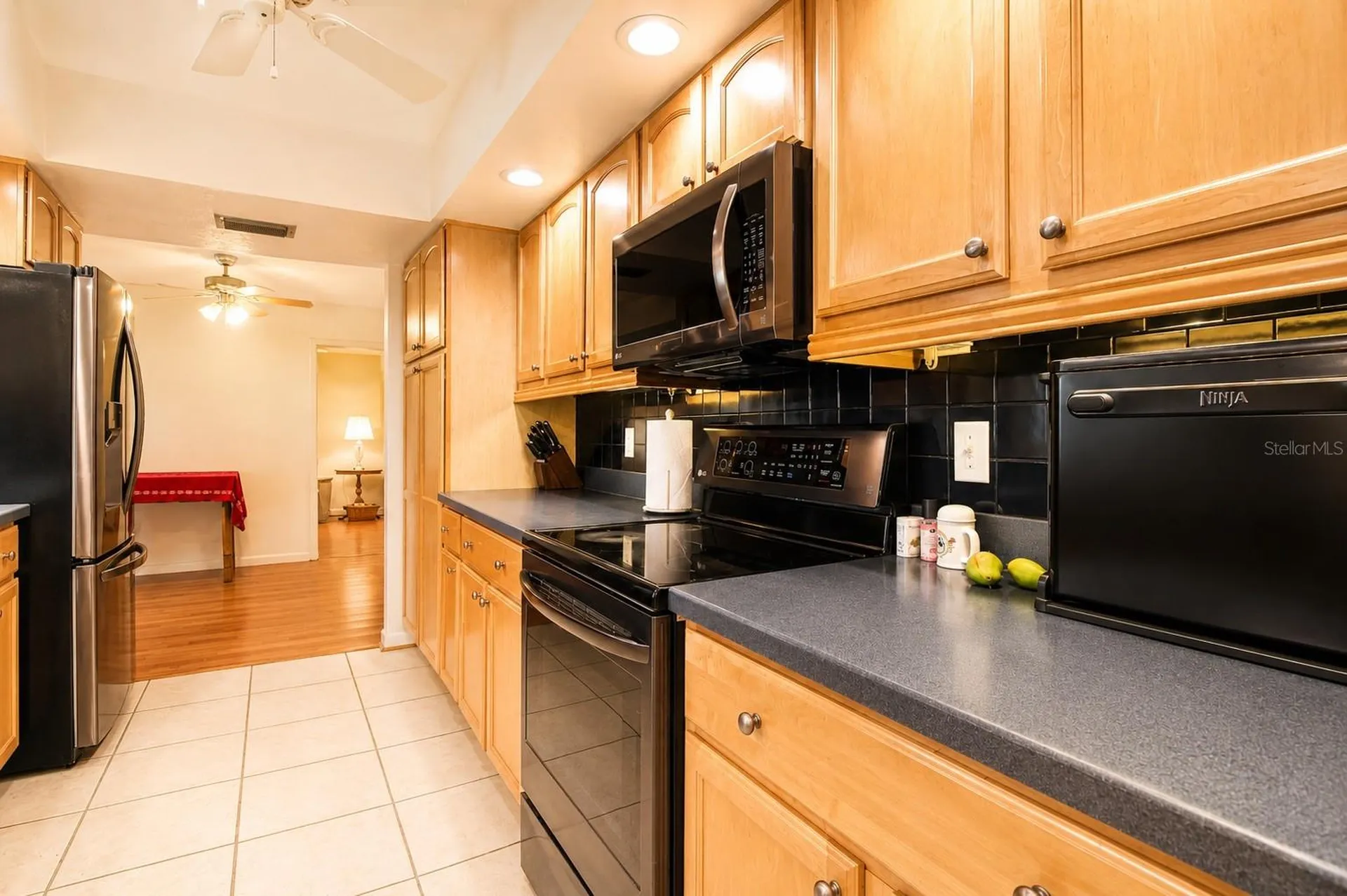 11904 Trevino Place Tampa FL 33624