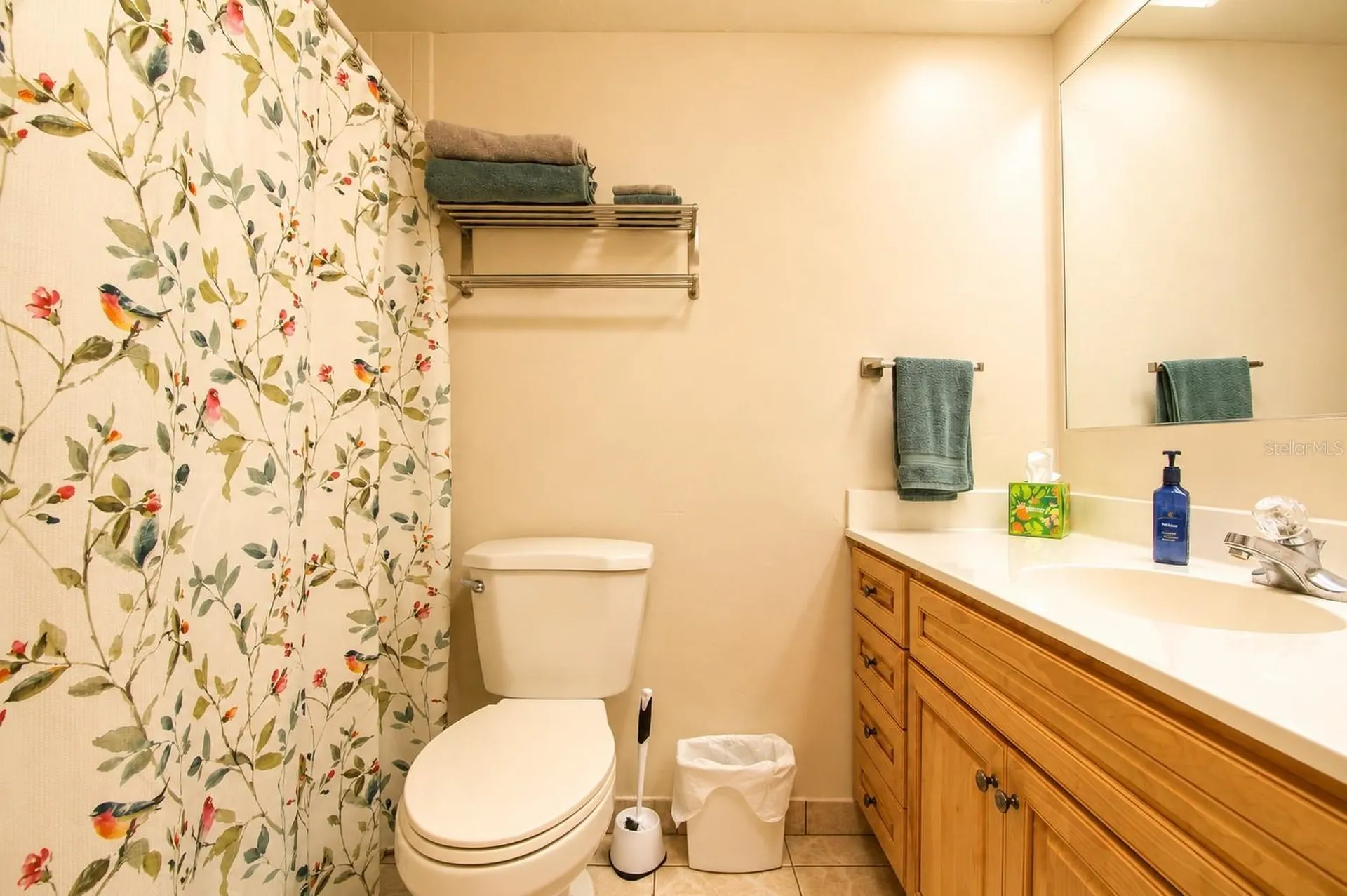 11904 Trevino Place Tampa FL 33624