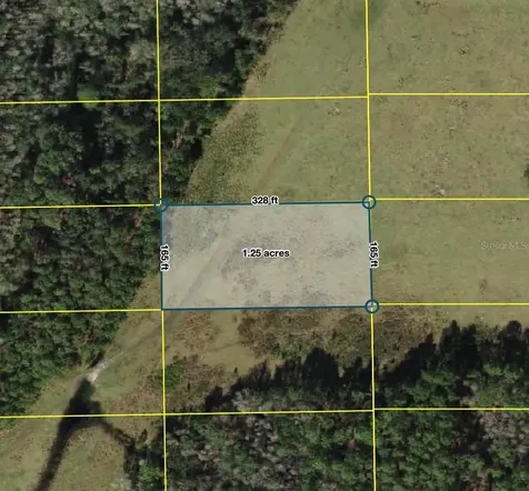 Polk City Polk City FL 33868