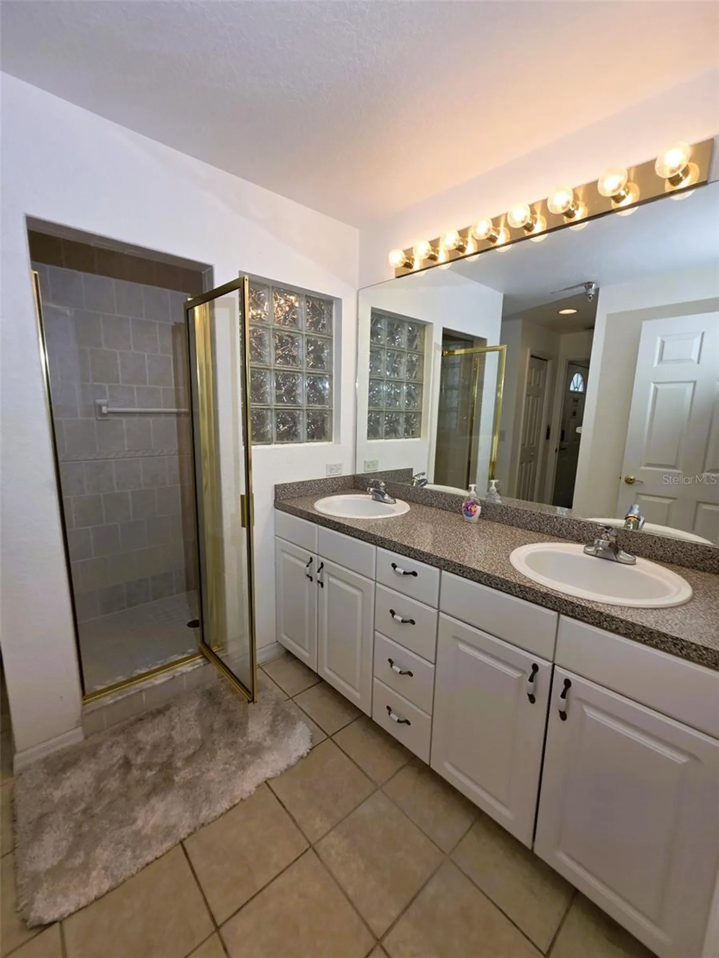 2077 Wetland Point Lutz FL 33558