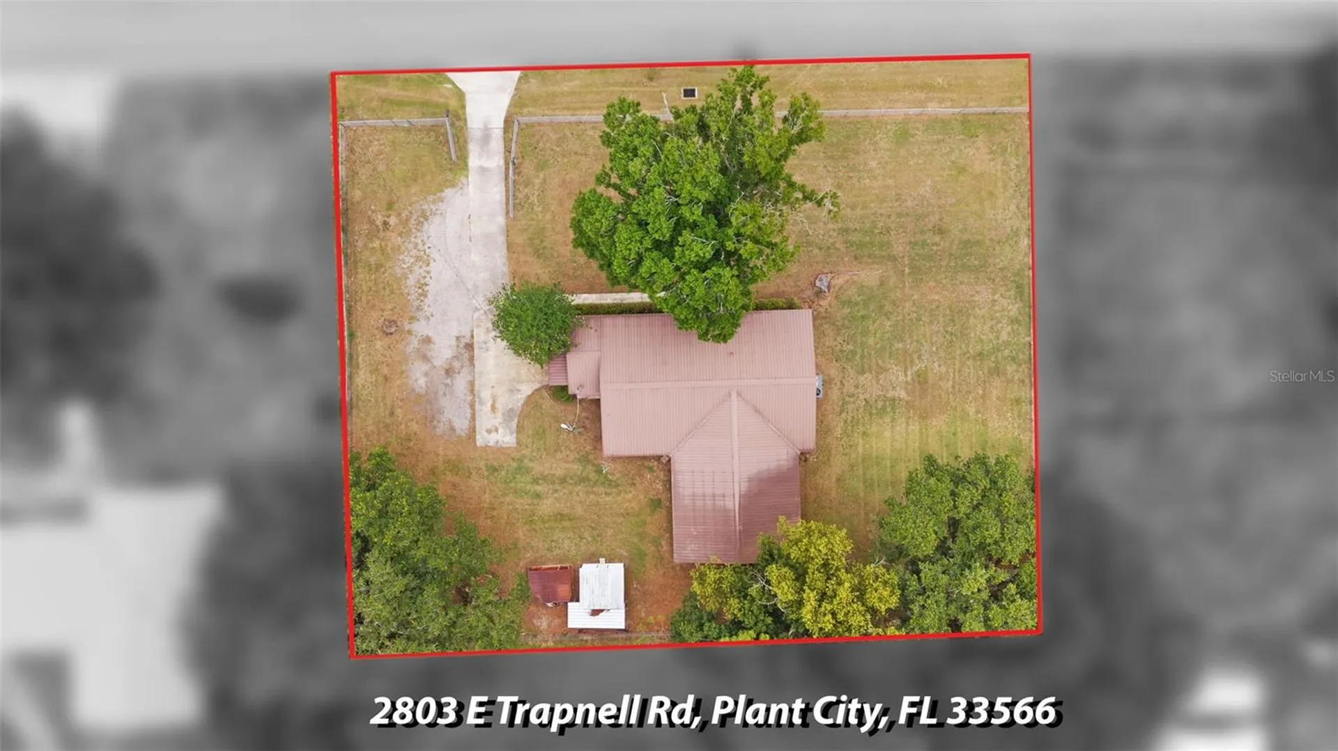 2803 E Trapnell Road Plant City FL 33566
