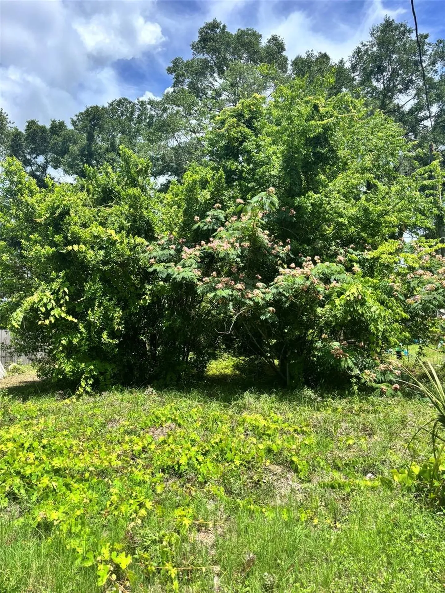 206 NE 13th Avenue Chiefland FL 32626