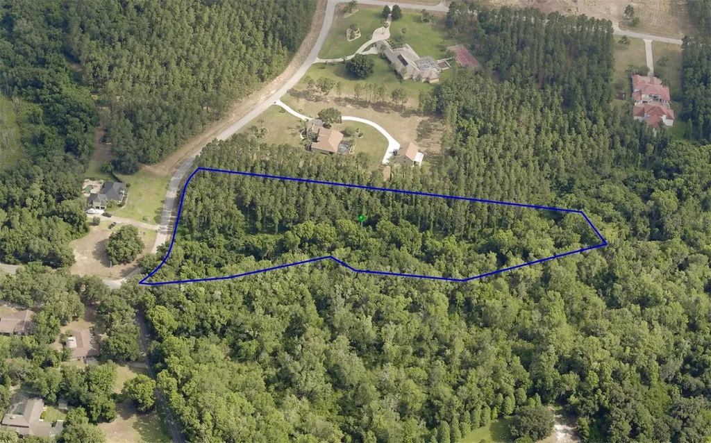 31004 Secretariat Trail Leesburg FL 34748