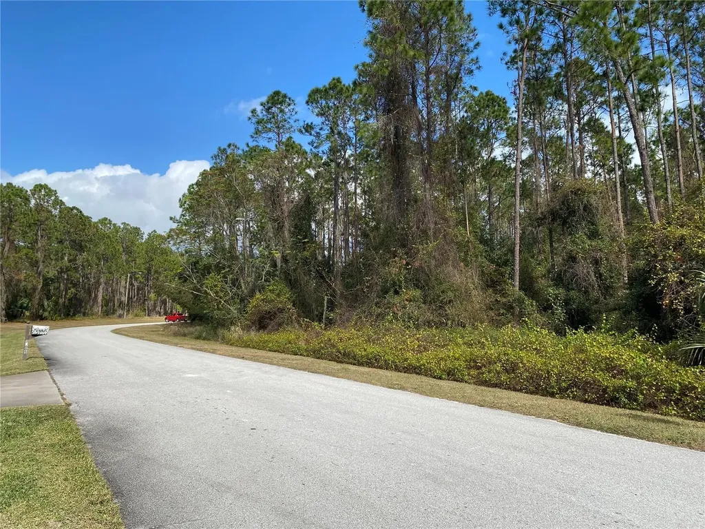 31004 Secretariat Trail Leesburg FL 34748