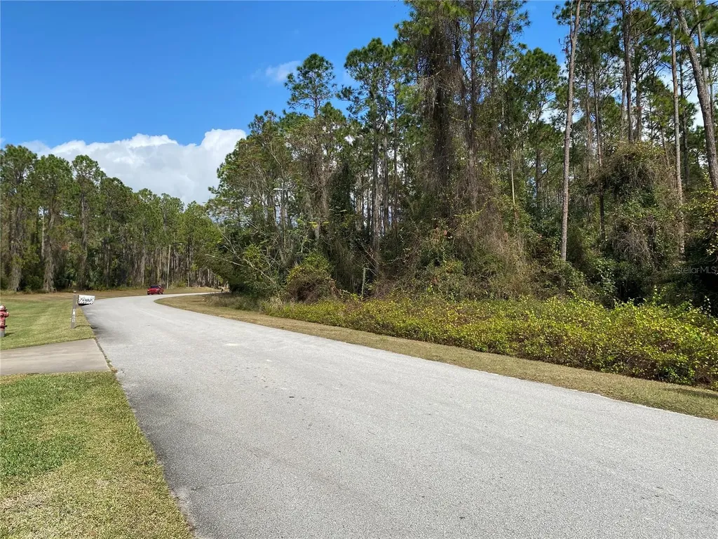 31004 Secretariat Trail Leesburg FL 34748