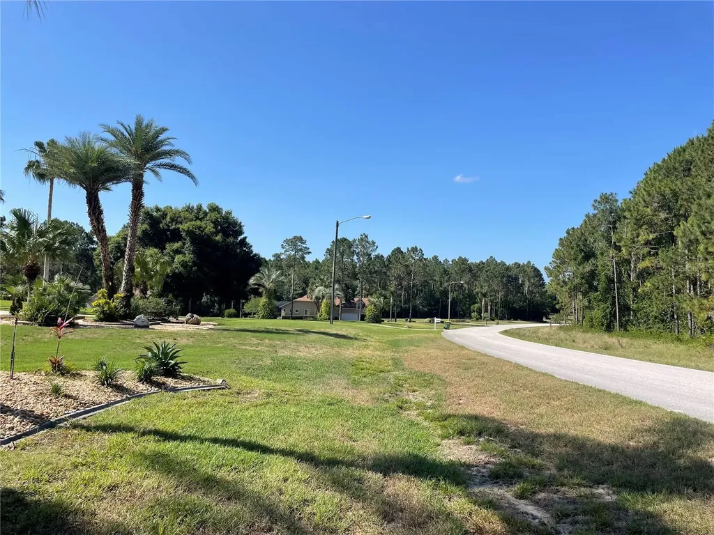 31004 Secretariat Trail Leesburg FL 34748