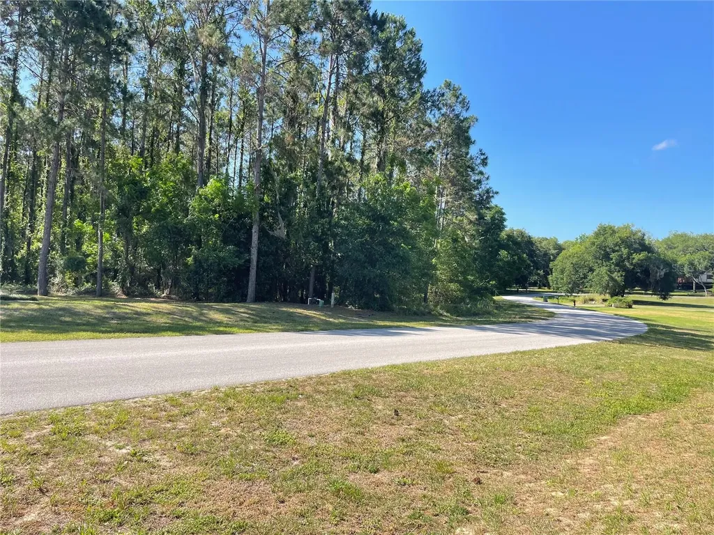 31004 Secretariat Trail Leesburg FL 34748