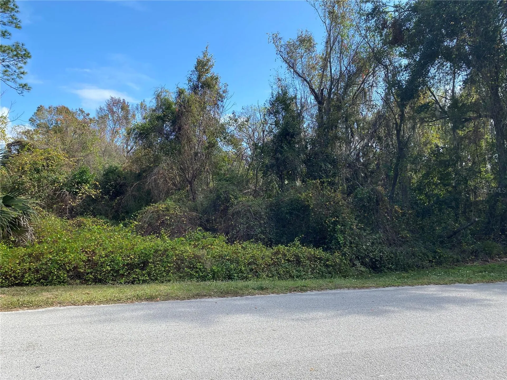 31004 Secretariat Trail Leesburg FL 34748