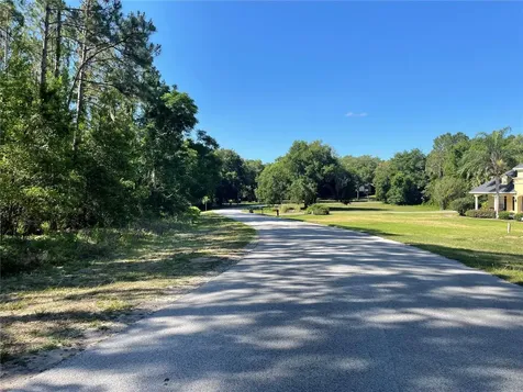 31004 Secretariat Trail Leesburg FL 34748