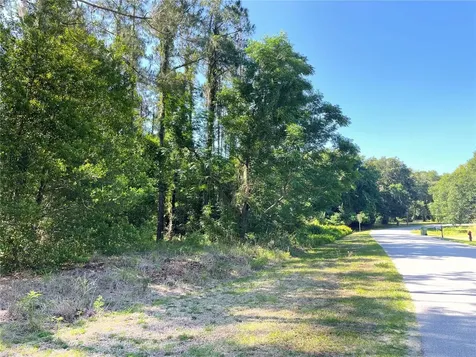31004 Secretariat Trail Leesburg FL 34748