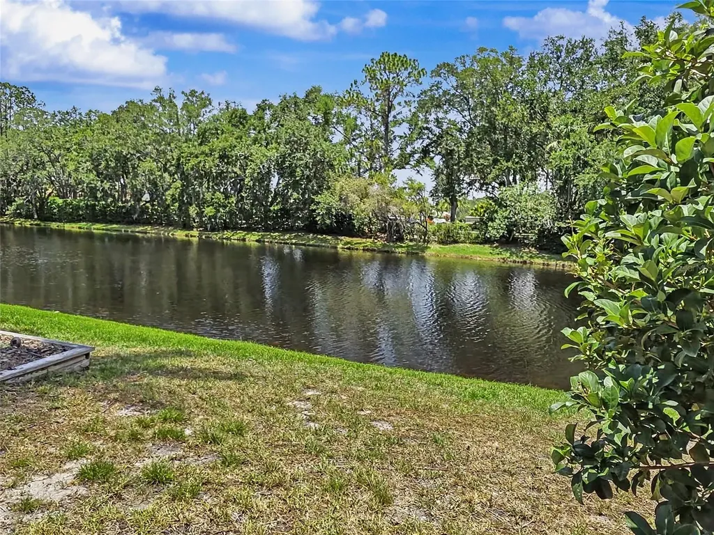 3749 Embassy Circle Palm Harbor FL 34685