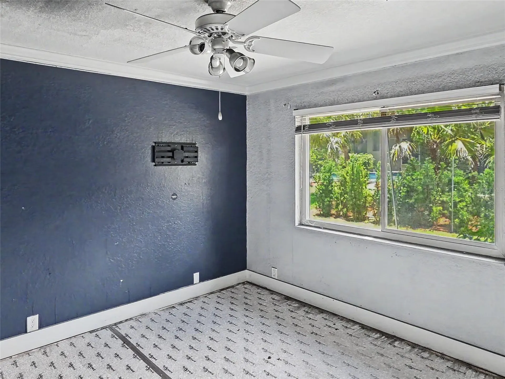 3749 Embassy Circle Palm Harbor FL 34685
